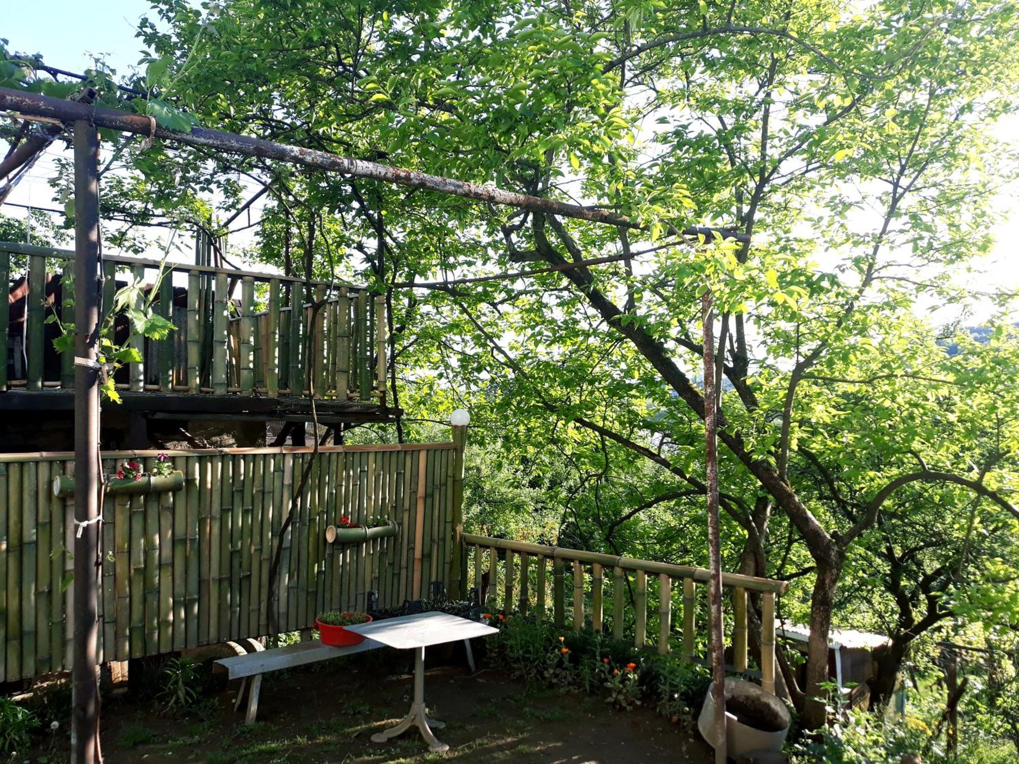 Nature House Koutaïssi Extérieur photo